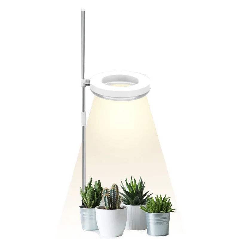 Desk plant growth lamp with full spectrum lighting in compact PC housing