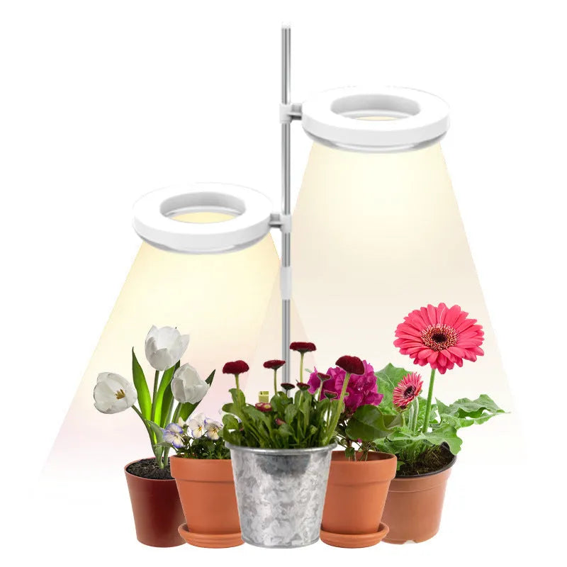 Desk plant growth lamp with full spectrum lighting in compact PC housing