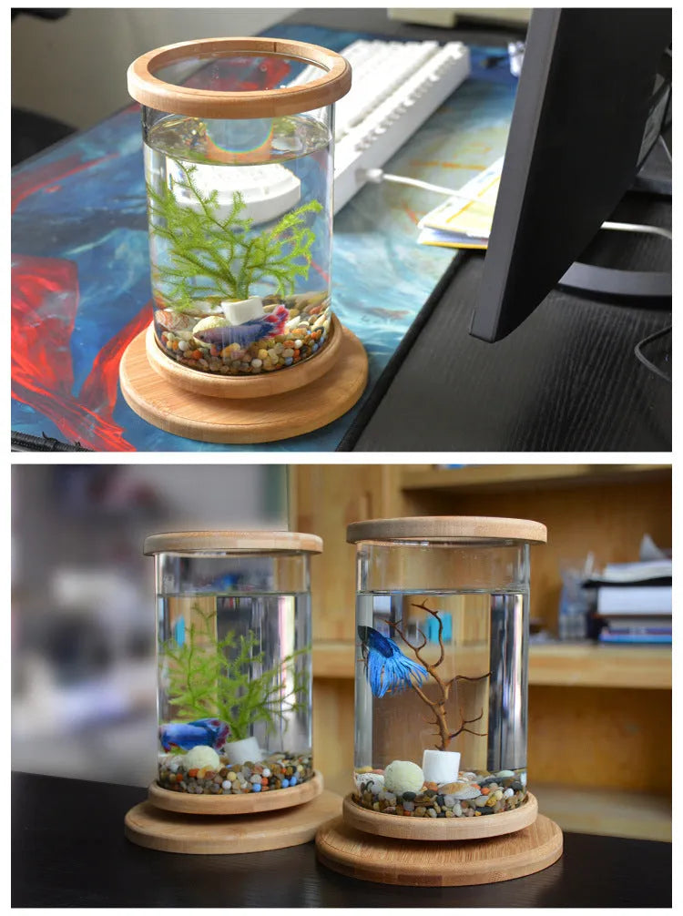 Small glass aquarium with natural bamboo base, 14.5cm diameter, 18cm height, wood colour, mini fish bowl for desk