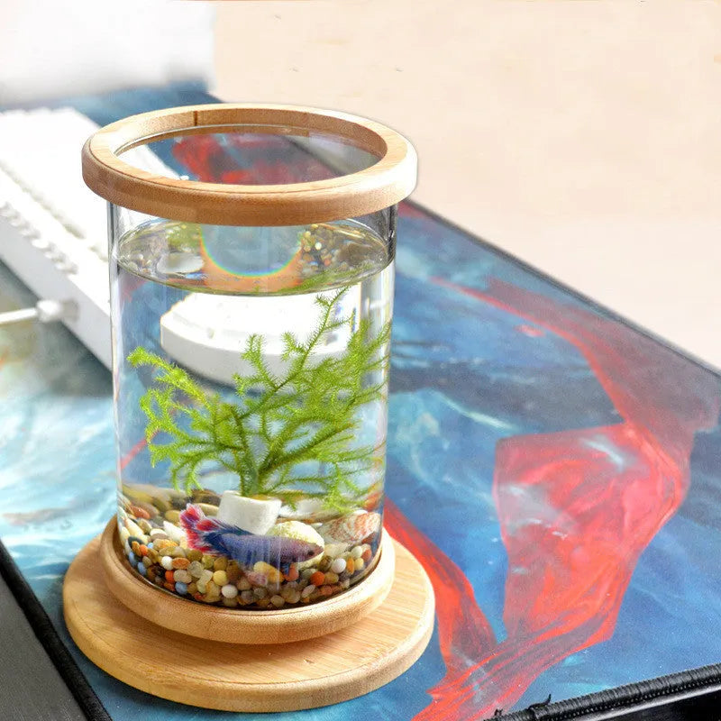Small glass aquarium with natural bamboo base, 14.5cm diameter, 18cm height, wood colour, mini fish bowl for desk