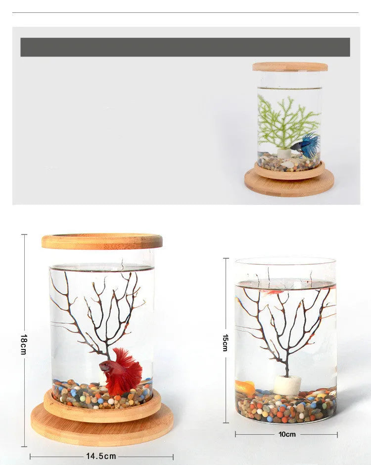 Small glass aquarium with natural bamboo base, 14.5cm diameter, 18cm height, wood colour, mini fish bowl for desk