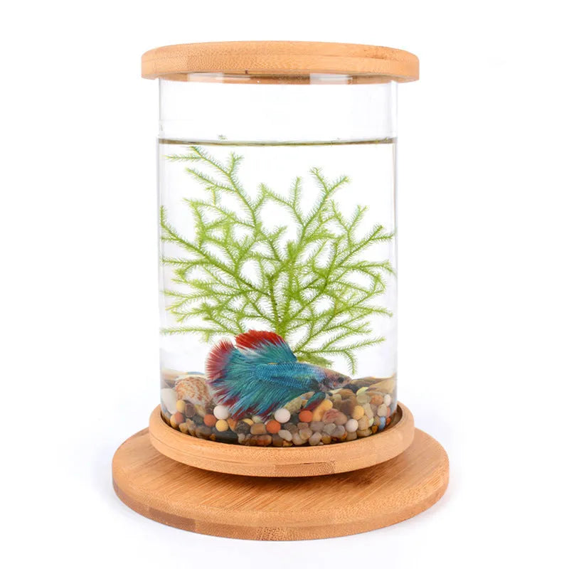 Small glass aquarium with natural bamboo base, 14.5cm diameter, 18cm height, wood colour, mini fish bowl for desk