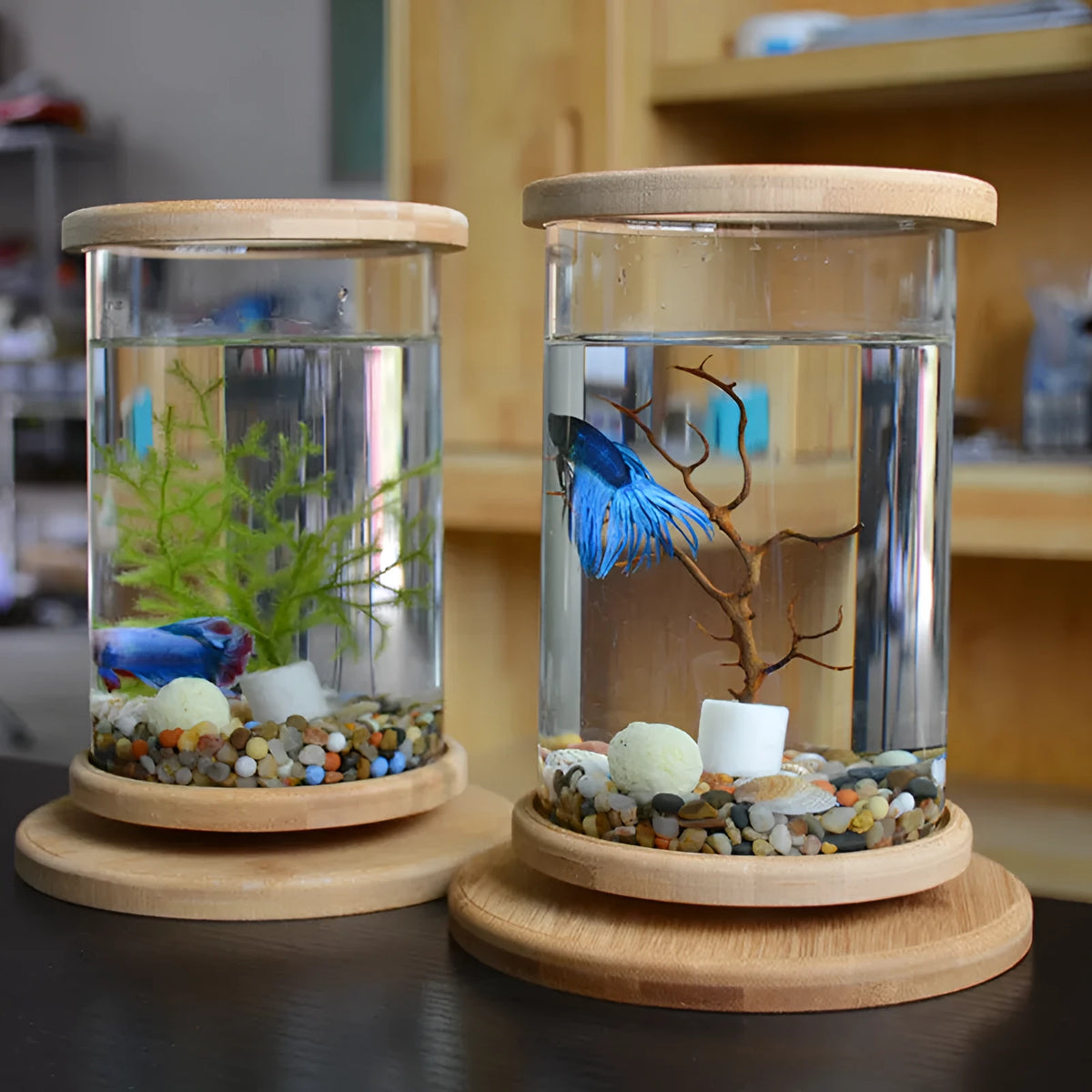 Small glass aquarium with natural bamboo base, 14.5cm diameter, 18cm height, wood colour, mini fish bowl for desk
