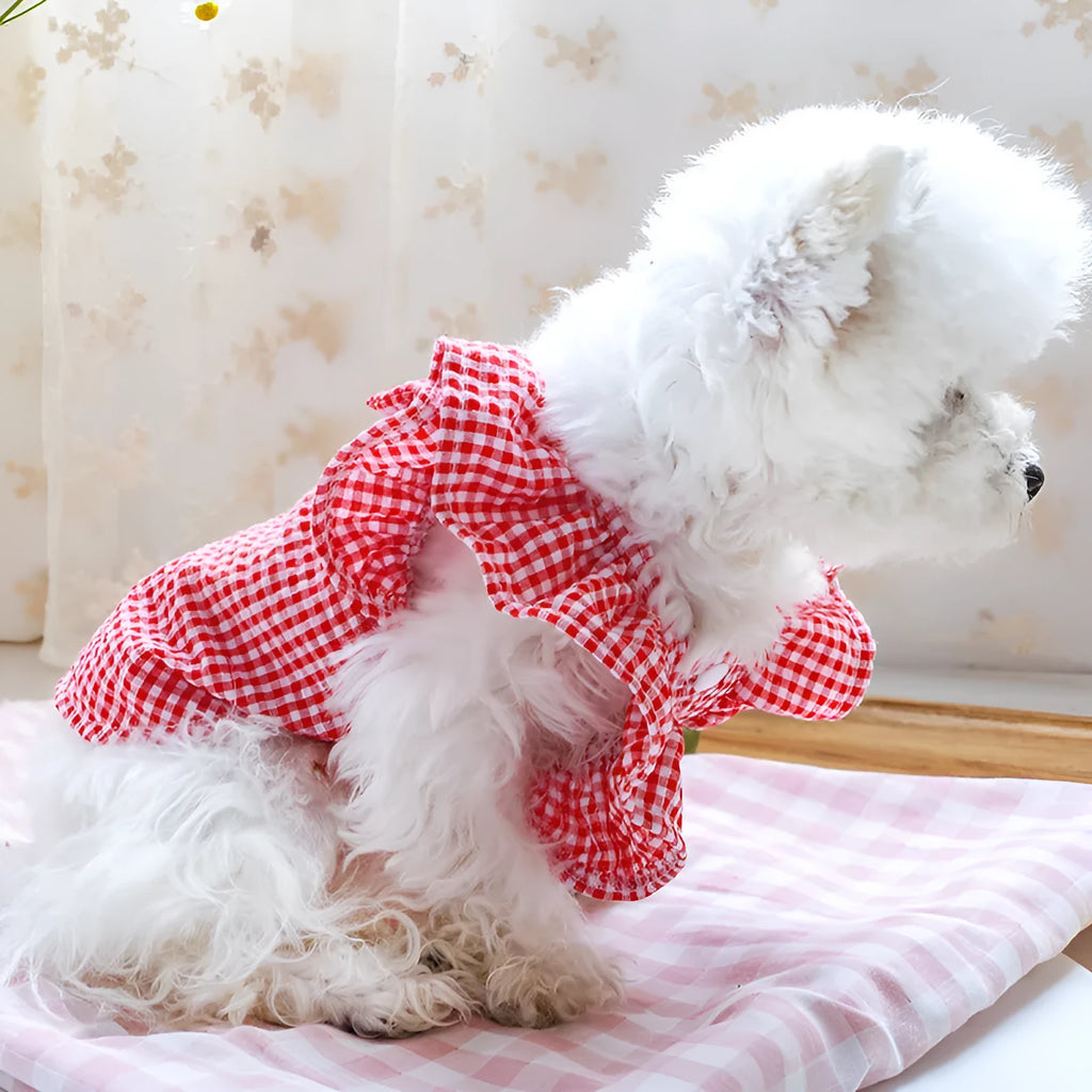 Red check bowknot pet shirt on small dog, casual polyester outfit in red with bowknot detail