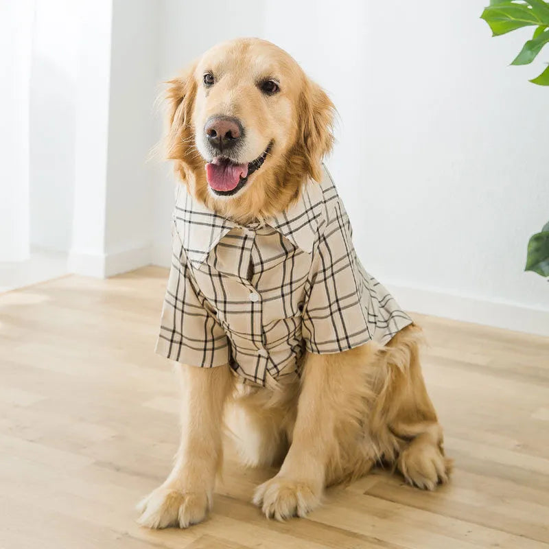 Brown large dog shirt for Labrador Golden Retriever in leisure style, size 6XL, shown on a standing dog