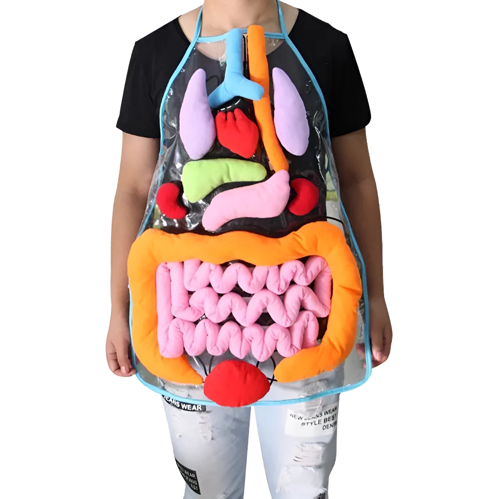 Green kids plush anatomy apron with movable body organs laid out on a table