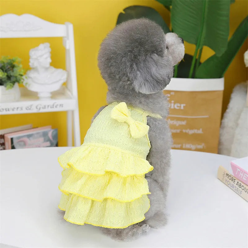 Rose red layered skirt princess dress on a small bichon dog