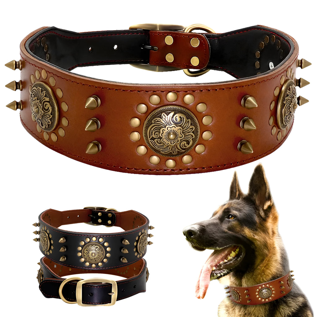 Real leather stud dog collar in brown with metal spikes for large pitbull and bulldog breeds