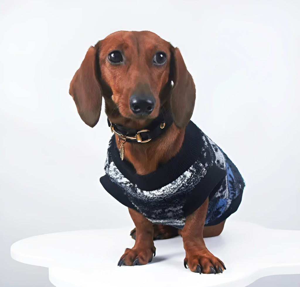 Blue geometric pattern thick warm pet vest on small dog, autumn winter clothing
