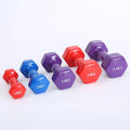 Bright colour plastic fitness dumbbells with glossy surface in 0.5kg 1kg 1.5kg weights for home workouts