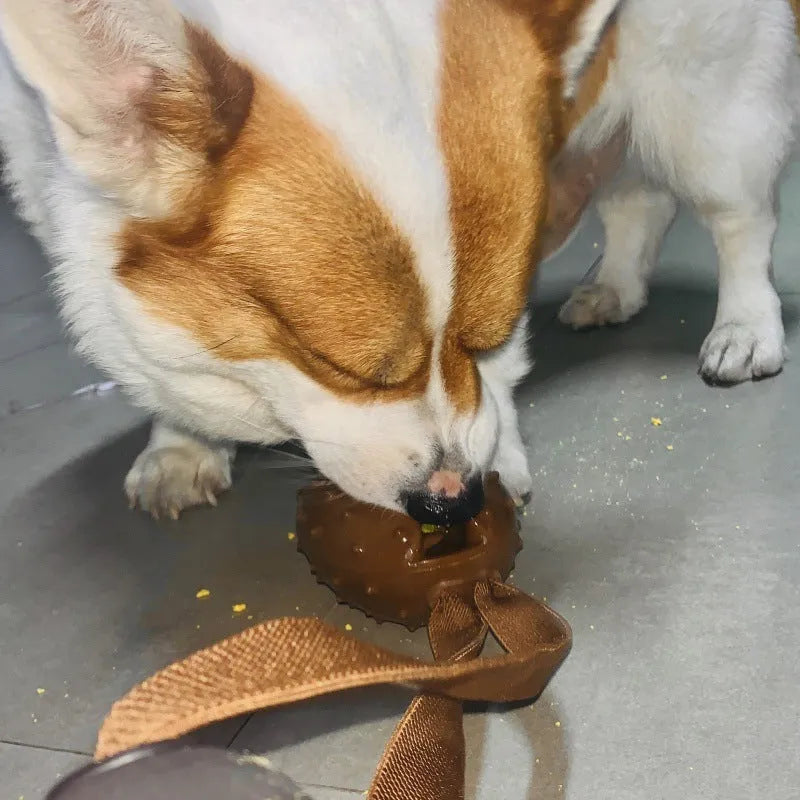 Coffee brown coffee bean-shaped TPR rubber dog chew toy with visible rope knot interior.