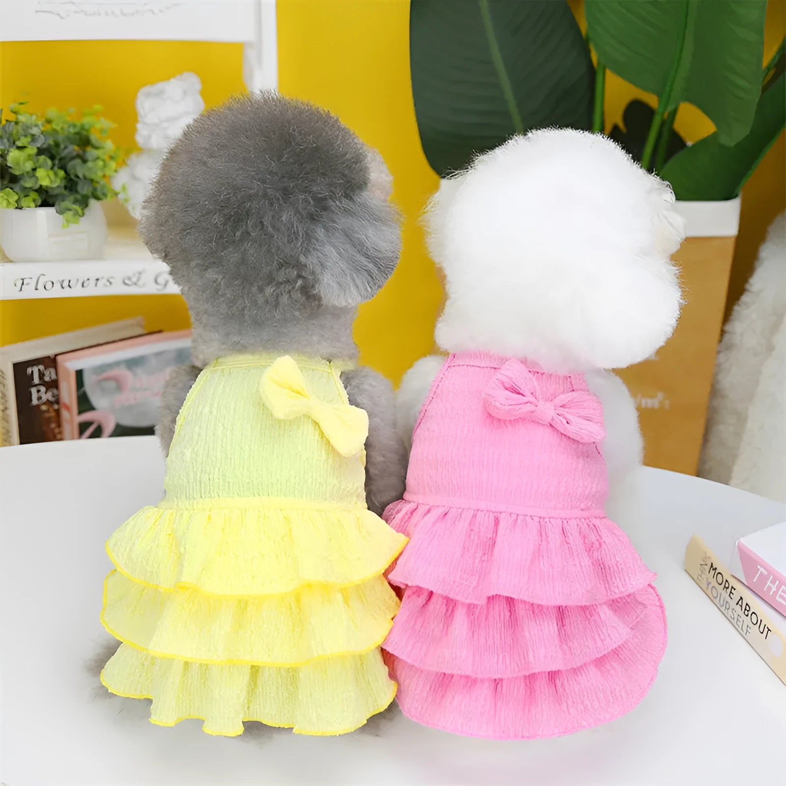 Rose red layered skirt princess dress on a small bichon dog