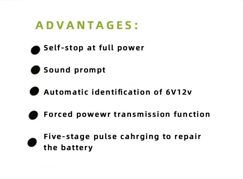 BT 168 12V 24V automobile battery charger with US plug for lead acid batteries