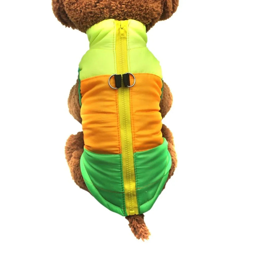 Autumn winter puppy jacket vest with traction buckle in striped pattern for small dogs, available in multiple colours