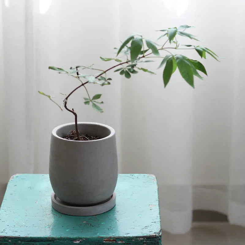 Round cement flower pot with 11cm bottom diameter, natural colour, Chinese style desktop planter
