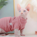 Hairless cat wearing a toothpick Dralon base sweater in cherry pink on a light background