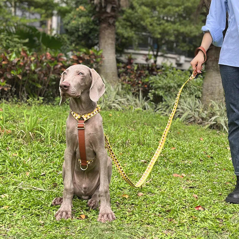 I-shaped pet dog chest harness traction rope in four colours with leather rib fibre construction
