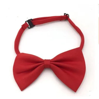 Adjustable pet bow tie in multiple colours for dogs and cats with black green red blue yellow options