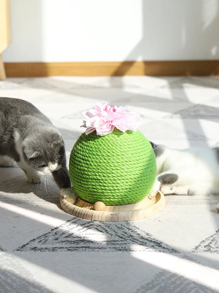 PP cactus shape cat grinding paw toy for vocal play, shown in Cat head type, Circular, or Rotary table type colour option.