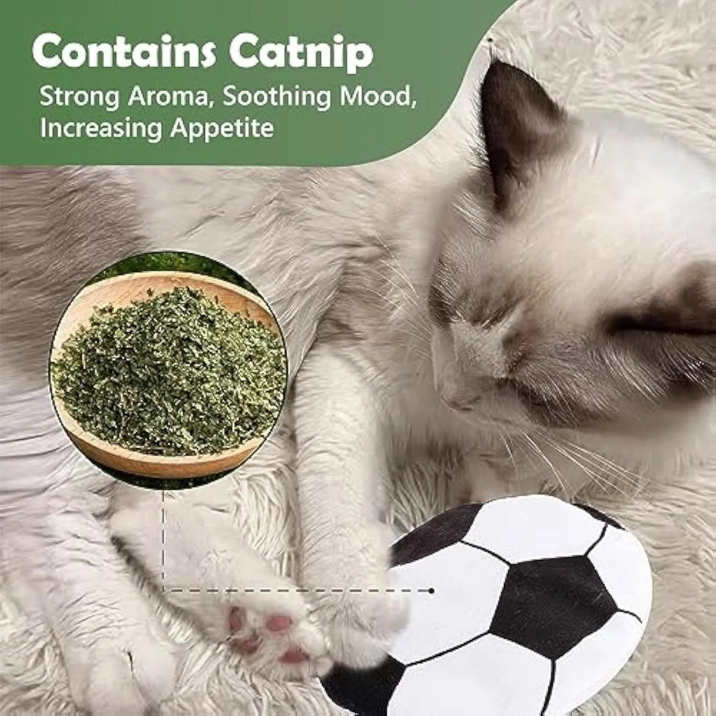 Blue basketball pattern plush cat toy disc with catnip and crinkle sound inside.