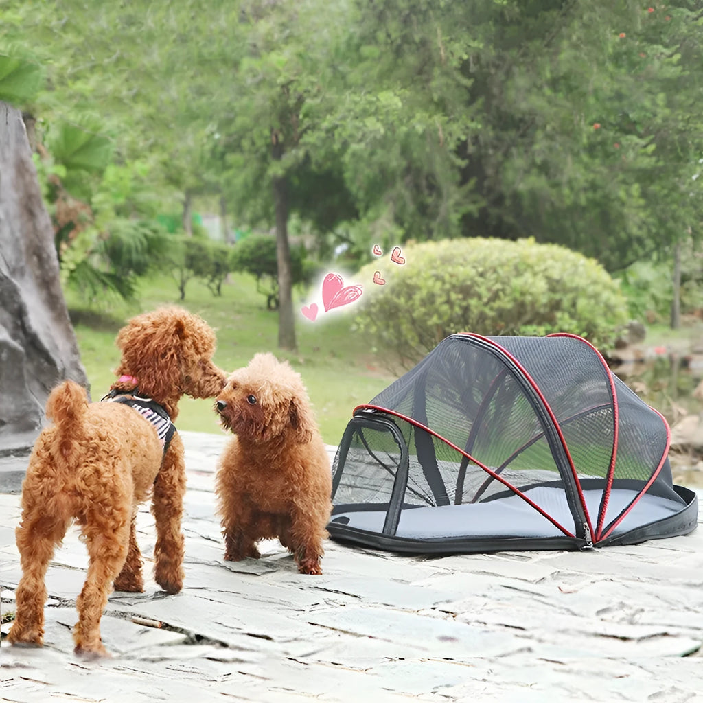 Portable folding cat tent with half-mesh side in blue, set up on a floor.