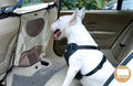 Pet car fence rear seat screen 54x49cm black barrier for dogs in car