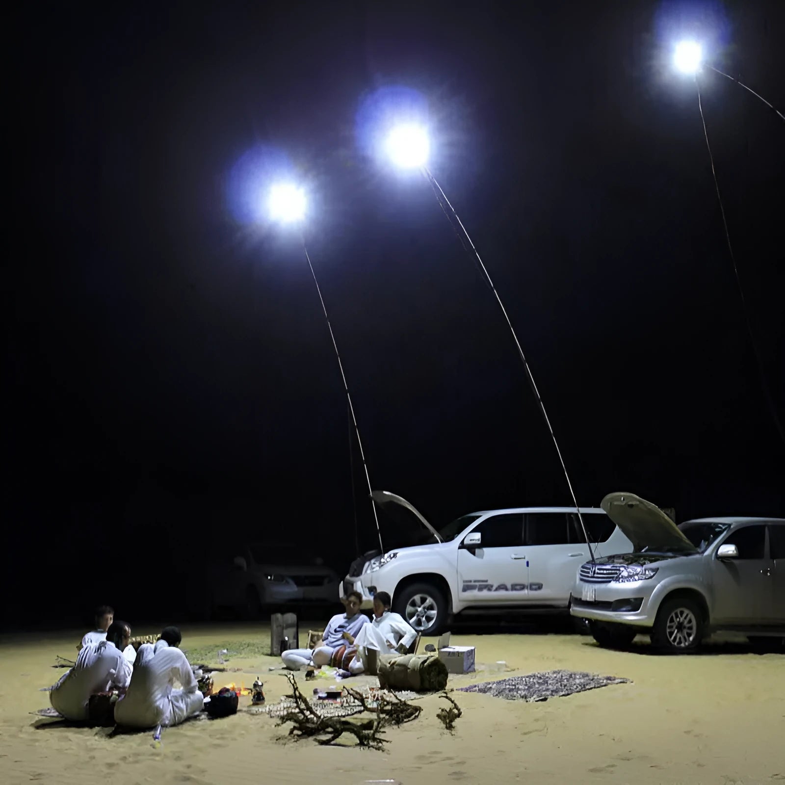 LED fishing rod light with telescopic pole extended, showing white LED array and remote control