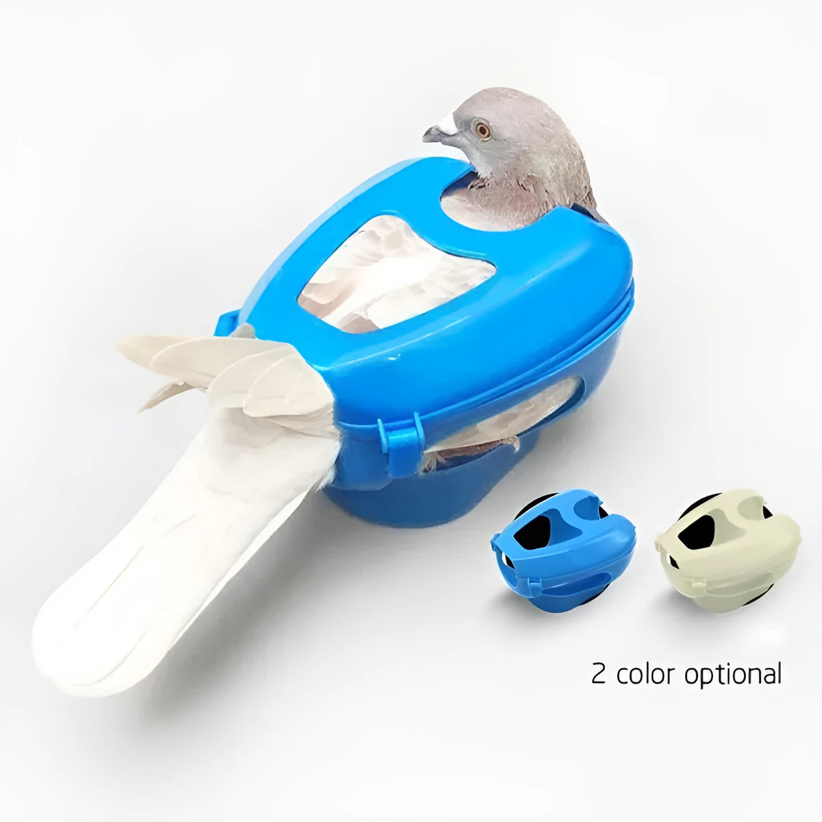 Light blue plastic racing pigeon holder fixed frame rack feeder on white background