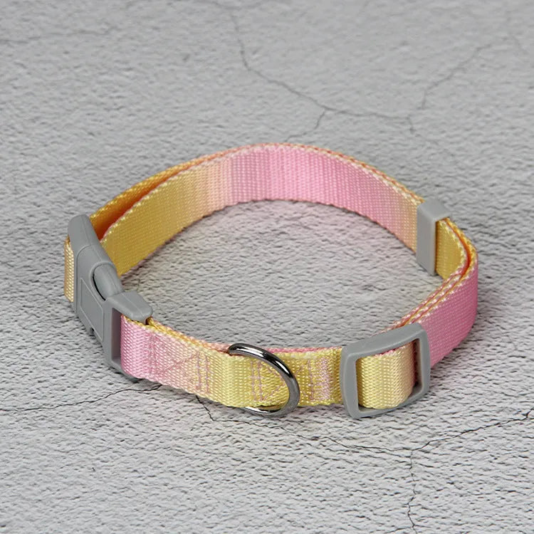 Gradient colour nylon dog lead and adjustable chest harness set in pink and yellow