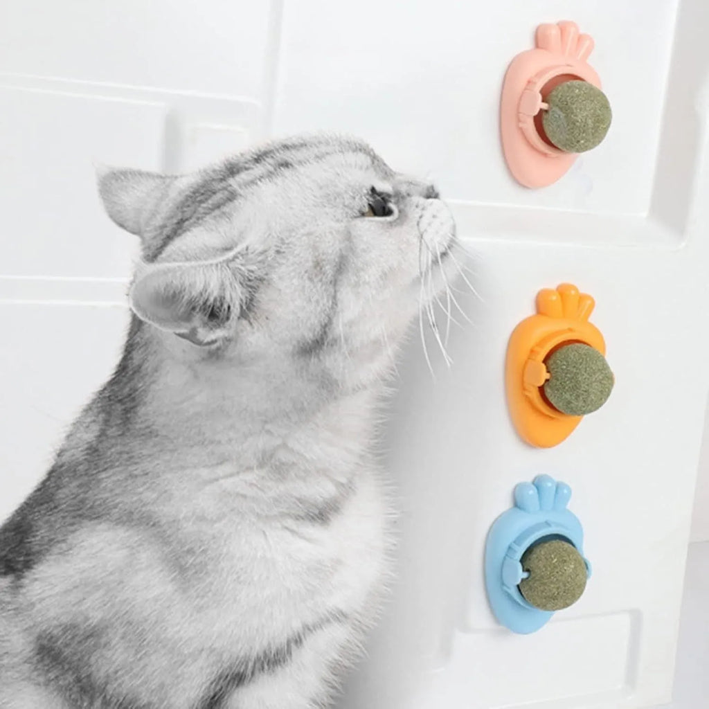 Blue self-adhesive carrot-shaped catnip toy for wall mounting and cat teeth cleaning.