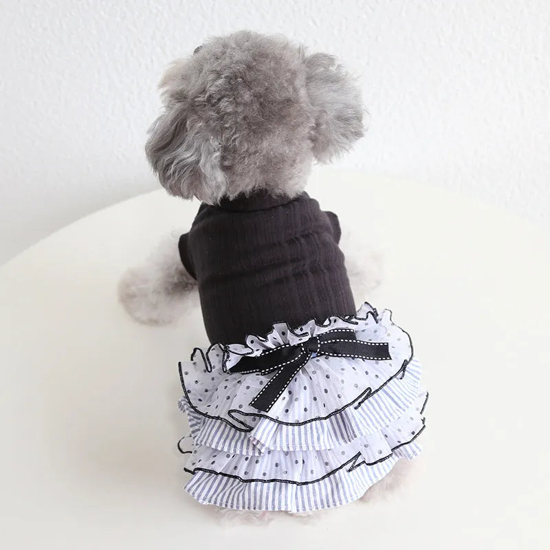 Polka dot lace cake dress for dogs in princess style with elastic back