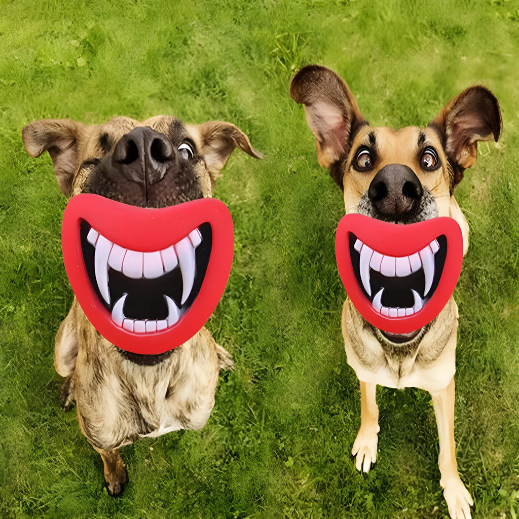 Non-toxic soft rubber dog enamel sounding toy in Demon format for pets