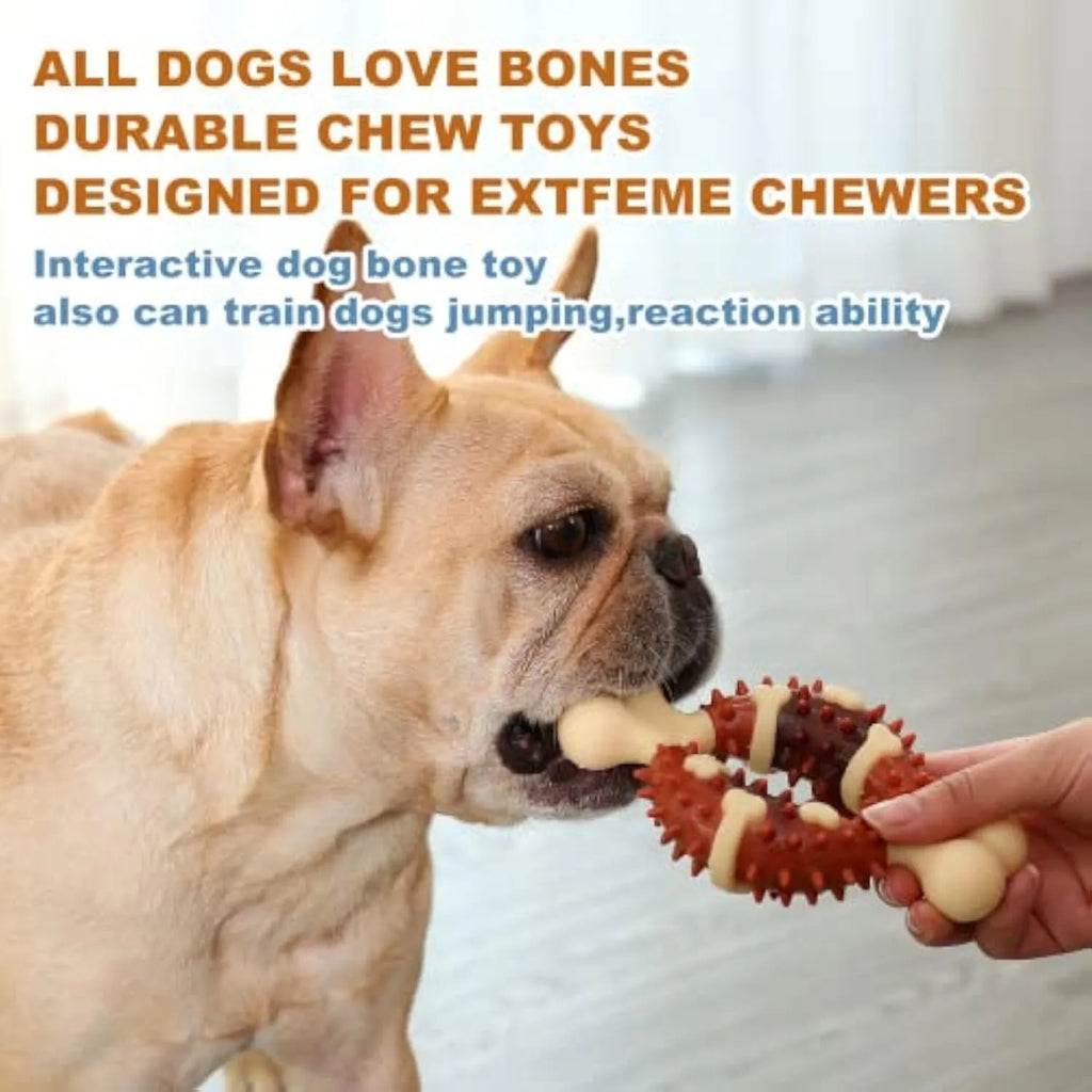 Natural rubber bone-shaped dog dental chew toy for teeth grinding and anxiety relief