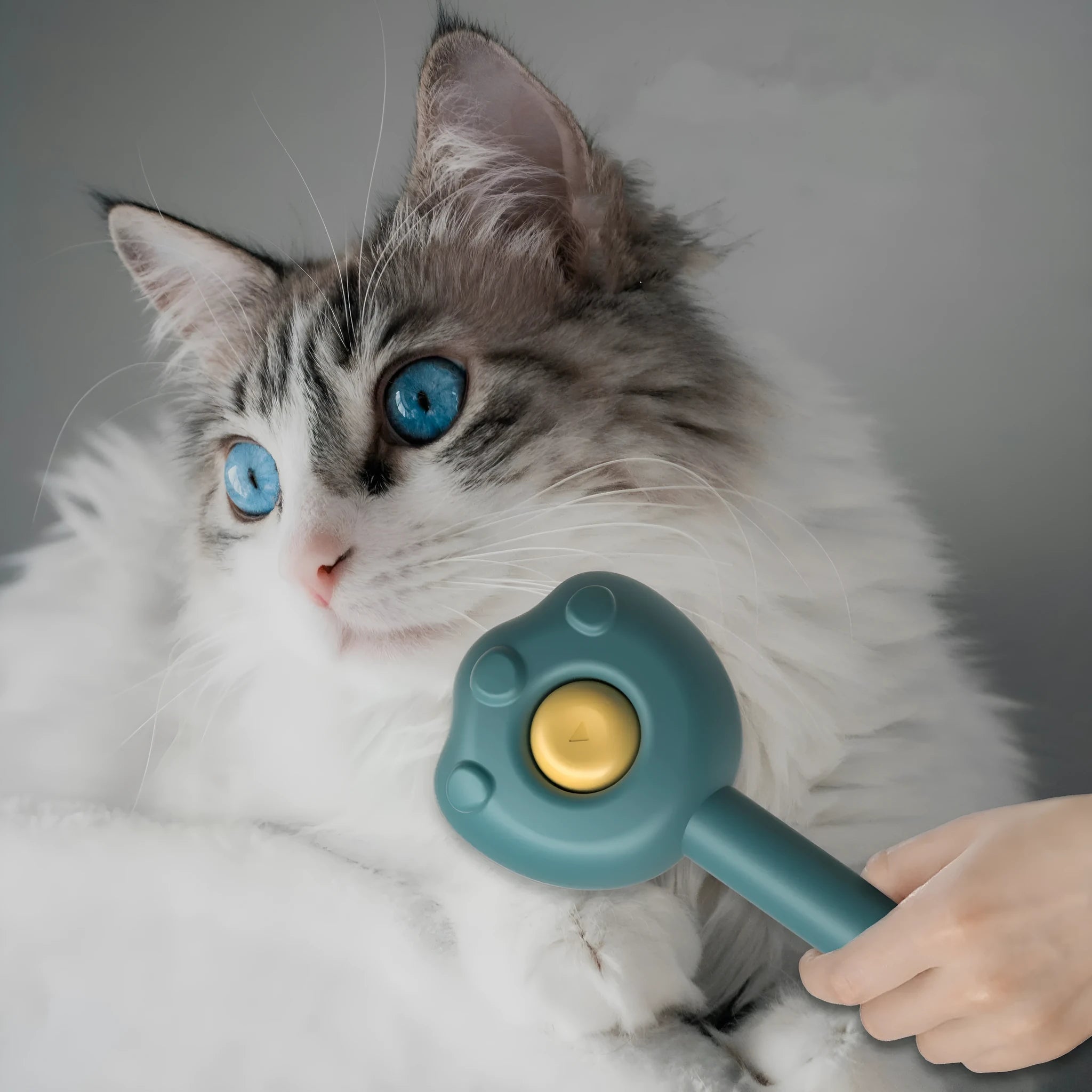 Blue self-cleaning pet grooming comb with needle pins for cats and small dogs, showing its 183mm size.