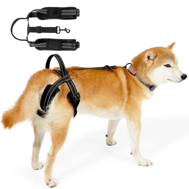 Black polyester pet rehabilitation hind legs auxiliary strap on a flat surface, with size label visible