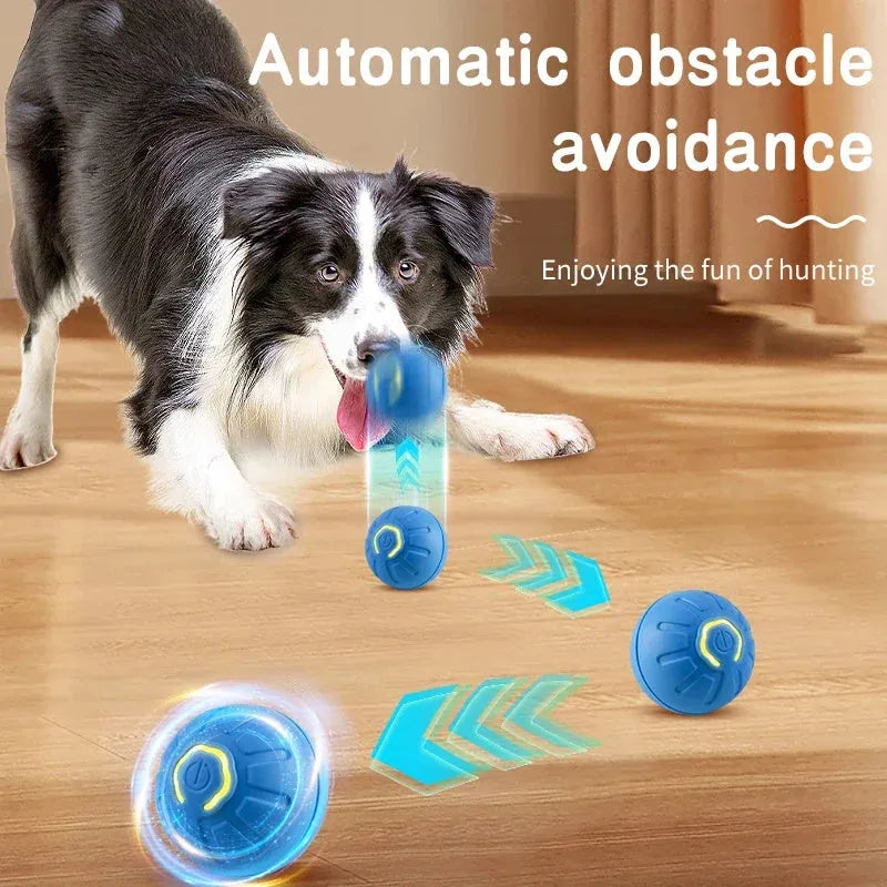 Smart interactive pet toy ball in blue, made from silicone and ABS, with USB charging port