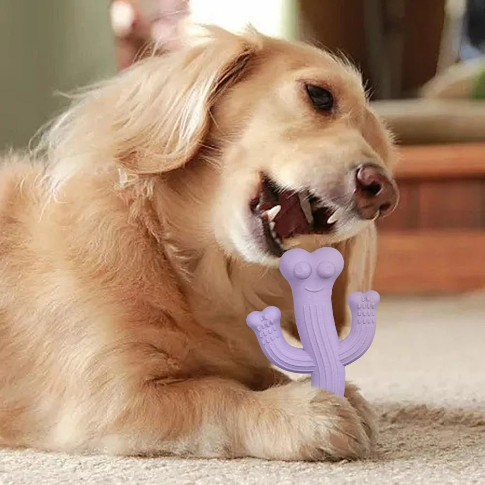 Cactus-shaped dog chew toy in bamboo fibre and rubber showing textured surface and cactus silhouette
