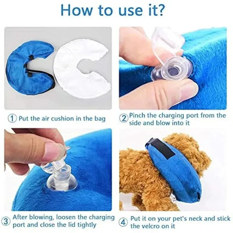Blue inflatable protective recovery collar for a dog, showing soft padded ring and adjustable buckle strap.