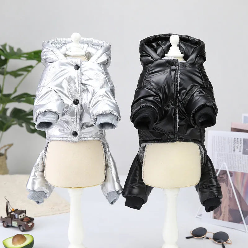 Pet dog waterproof autumn winter padded jacket in black cotton four-legged coat on white background