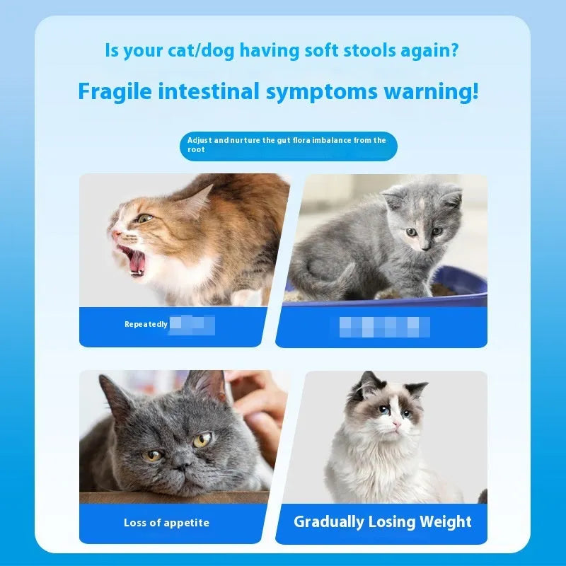 Bottle of Pet Active Probiotic Tablets containing 180 tablets for dog and cat digestive support.