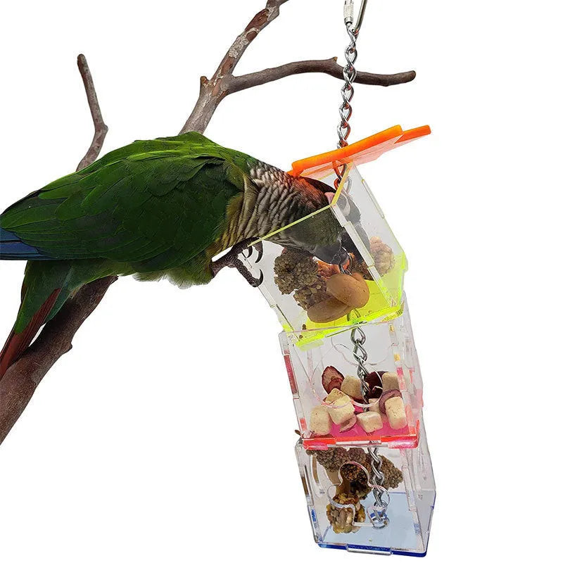 Clear acrylic parrot foraging toy measuring 5 cm by 5 cm by 32 cm with food hiding slots