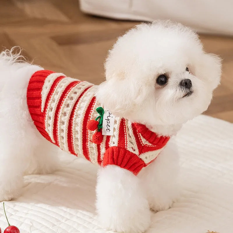 Red and white knitted pet sweater with cut-out detail and 3D cherry embroidery for small dogs and cats