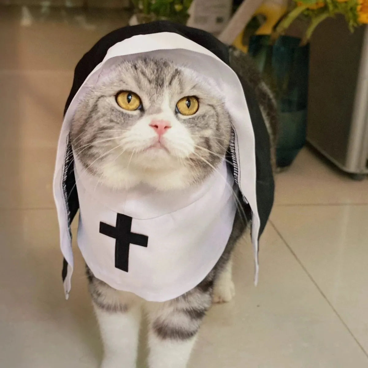 Black and white nun cloak costume for a small dog on a mannequin