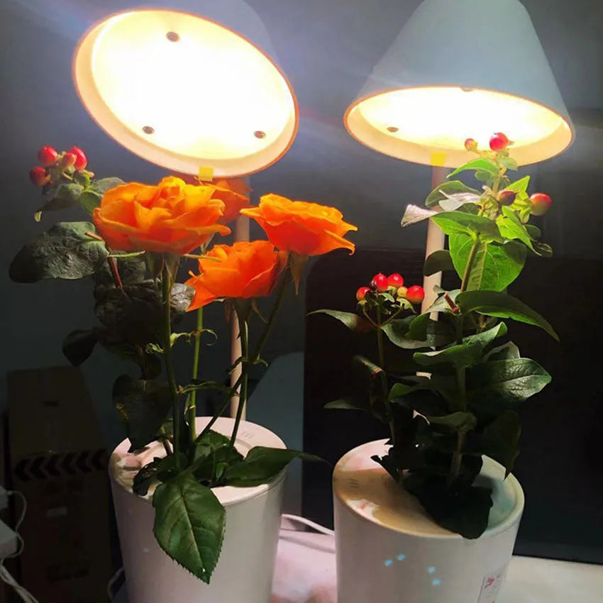 White plastic hydroponic container for desktop soilless plant cultivation