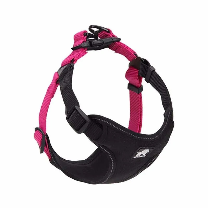 Dog leash collar in Oxford cloth with breathable mesh and zinc alloy clip, available in multiple sizes and colours