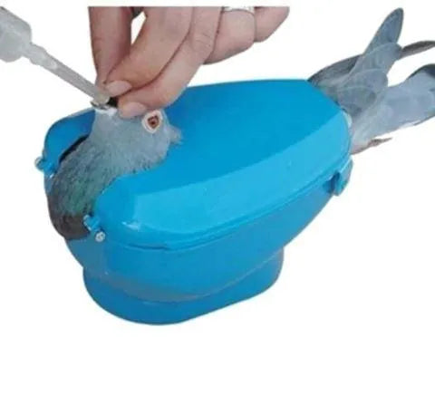 Light blue plastic racing pigeon holder fixed frame rack feeder on white background