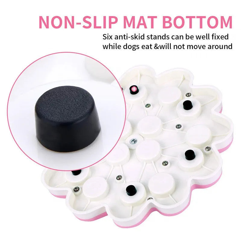 Blue PP plastic dog food tray with raised edges for containing pet food and water spills