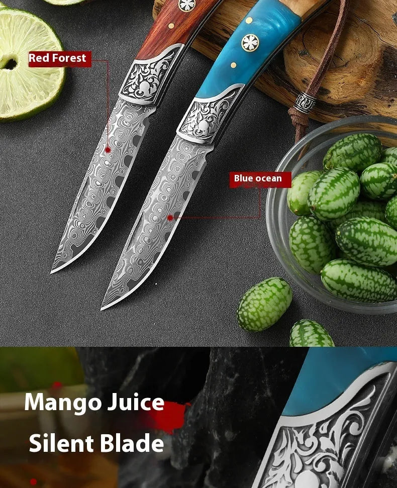 VG10 stainless steel folding portable mini outdoor knife with handmade national style craft in blue or red