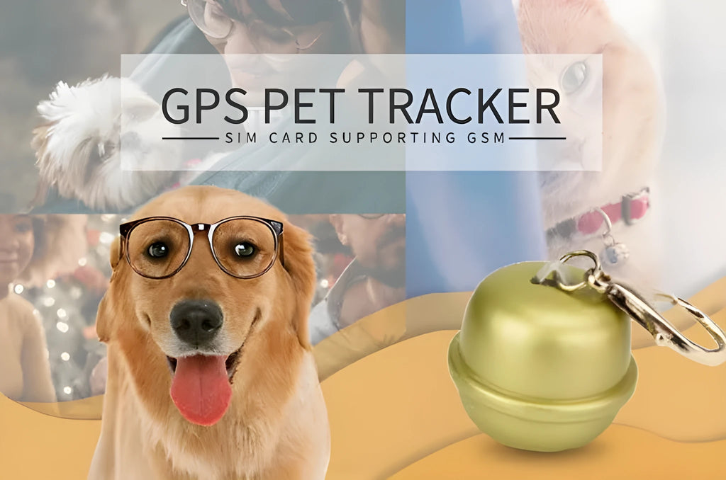 GPS tracking unit attached to a dog collar, shown in black, brown, green, and pink colour options.