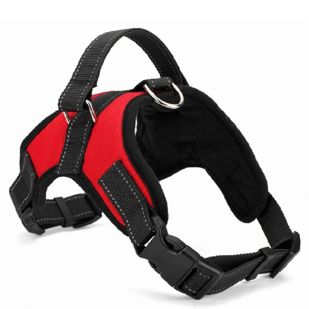 Black nylon dog collar with matching lead on a dog's neck, set on a plain background.
